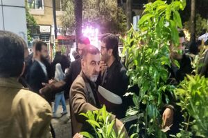 نهال‌های مثمر در اجتماعات شبانه مرکز مازندران توزیع شد