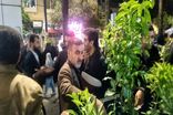 نهال‌های مثمر در اجتماعات شبانه مرکز مازندران توزیع شد