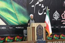 مراسم شیرخوارگان حسینی، پیام‌رسان عاشورا است
