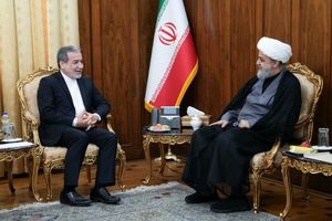 دبیرکل مجمع جهانی تقریب مذاهب اسلامی با عباس عراقچی دیدار کرد