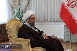 نباید بگذاریم فشار رسانه ای رسیدگی به پرونده ها را از عدالت دور کند