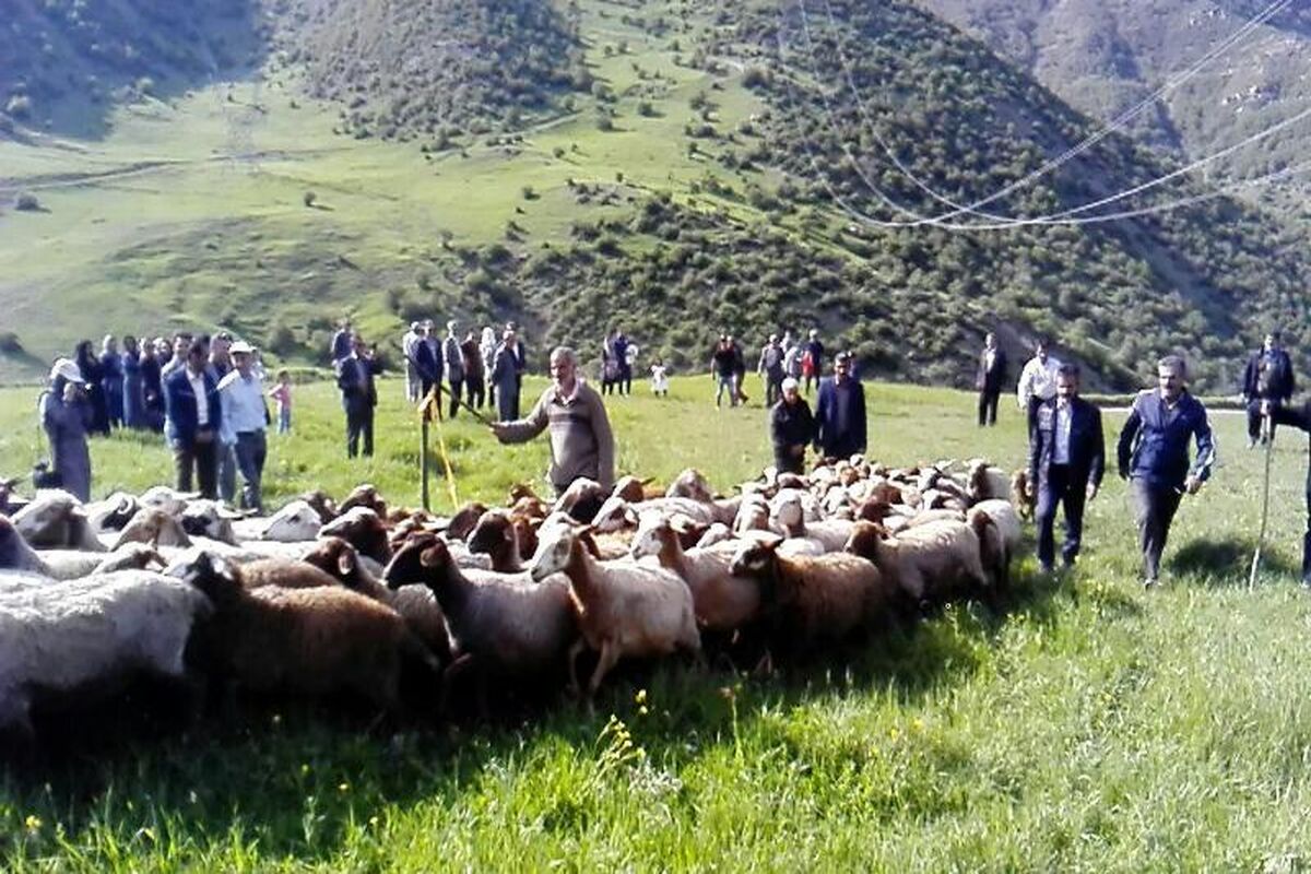 عشایری