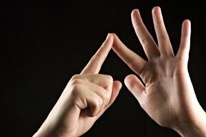 پیش نویس لایحه به رسمیت شناختن زبان اشاره ایرانی به هیئت دولت ارسال شد