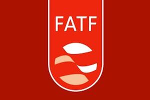از تصمیم FATF راضی نیستیم ولی آن را گامی رو به جلو می دانیم