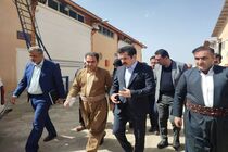 معاون رئیس‌جمهور راه‌اندازی کتابخانه سیار در روانسر ضرورت دارد