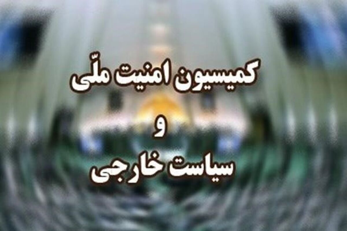 کمیسیون امنیت ملی
