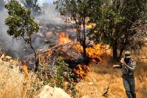 محیط بانان با دست خالی 35 مورد حریق را مهار کردند