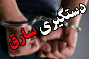 دستگیری چوپان سارق در شاهین شهر/ سرقت 16 رأس گوسفند