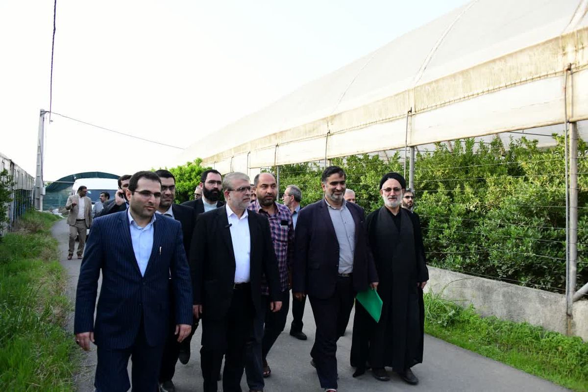 رئیس کل دادگستری مازندران