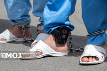 گرداننده فراری چند شرکت هرمی به کشور بازگرداننده شد