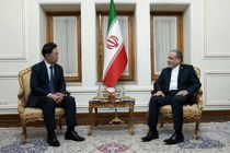 فرستاده ویژه وزیر امور خارجه کره‌جنوبی با عراقچی دیدار کرد