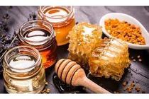 تولید 75 میلیاردی عسل در تنکابن