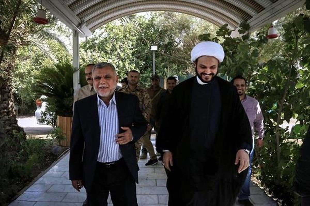 هادی عامری