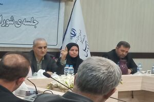 دانشگاه‌ها باید اتاق فکر استان در حوزه آسیب‌های اجتماعی باشند/ضرورت حرکت از پژوهش صرف به سمت اقدام عملیاتی