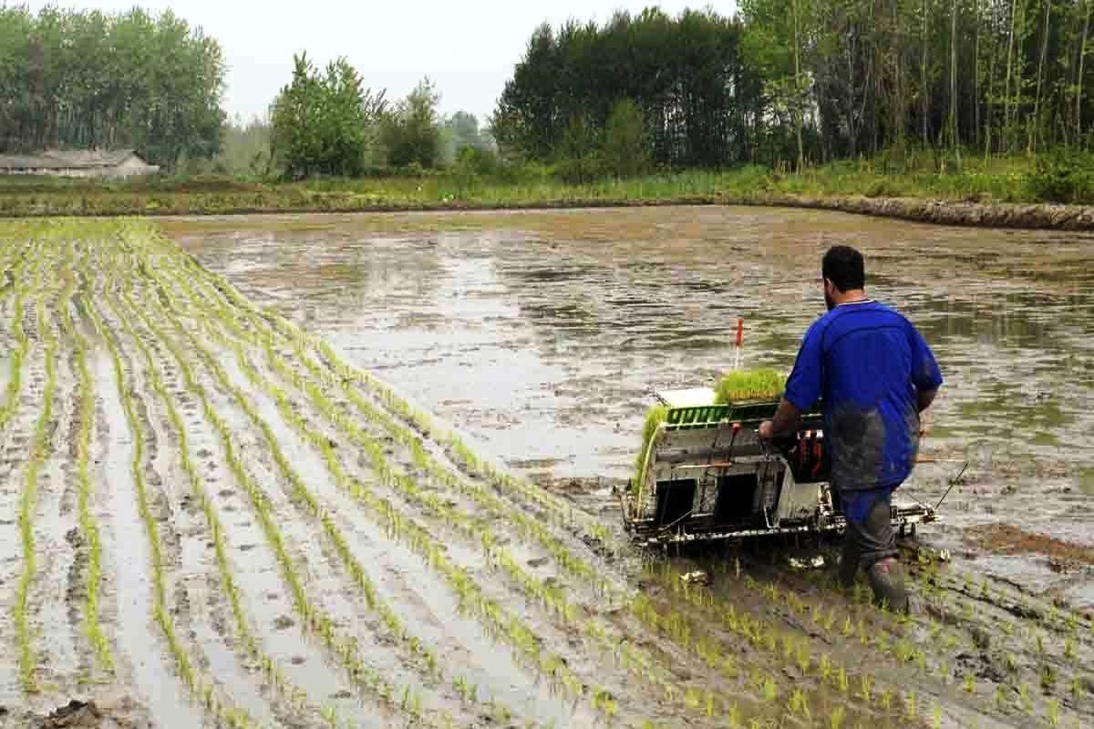 نخستین نشای مکانیزه کشور 