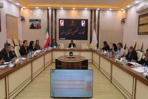 6 هزار طرح در سیستان و بلوچستان تسهیلات اشتغال دریافت کردند