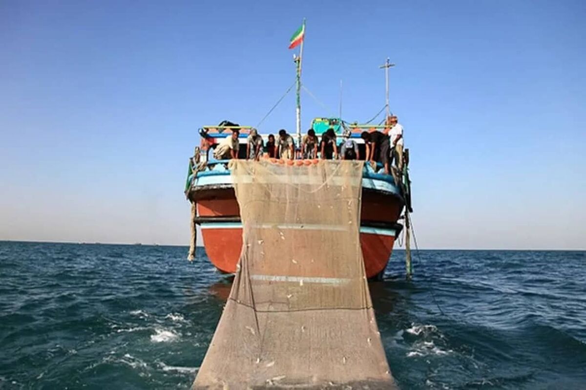 شیلات هرمزگان