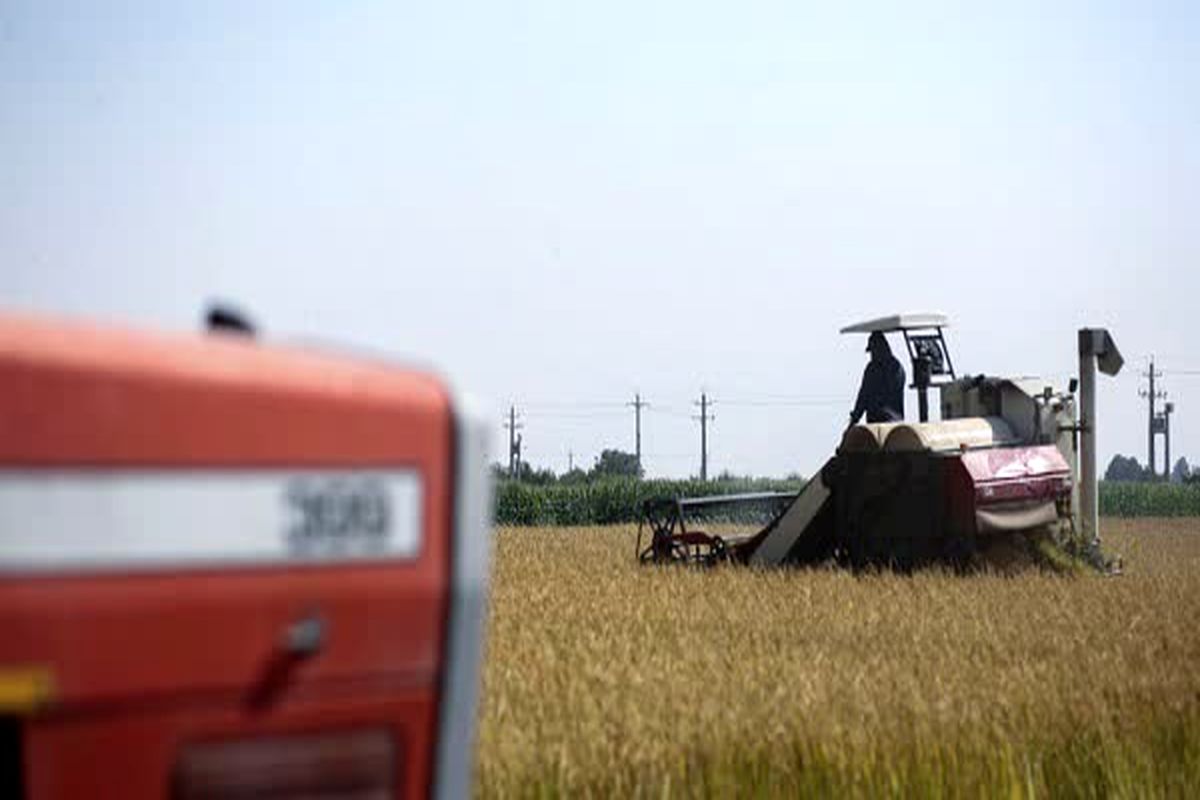 جهاد کشاورزی فارس 