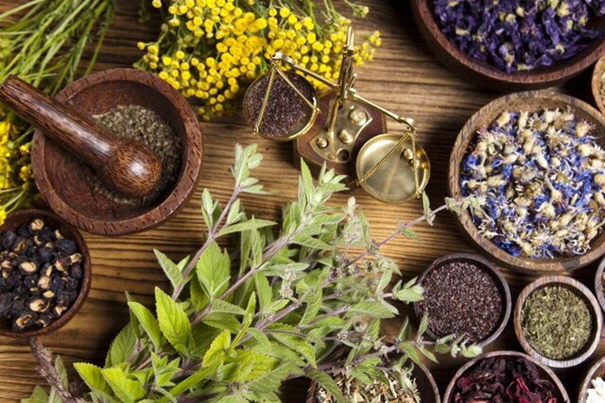 گیاهان دارویی خراسان رضوی