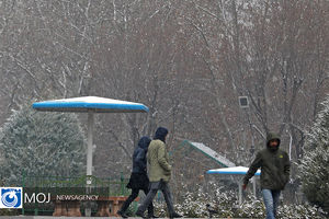 بارش برف در تهران