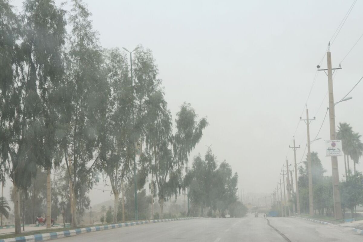 کاهش گرد و غبار