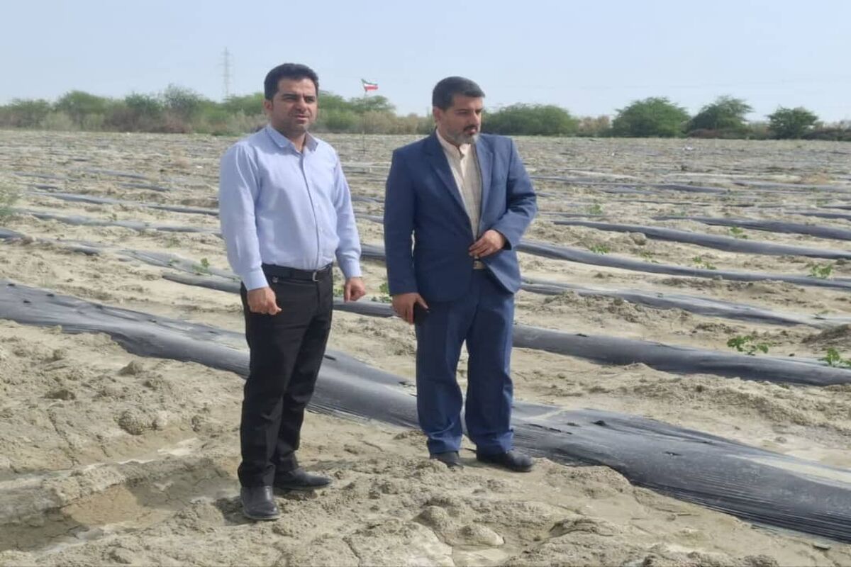 تصرف غیرقانونی اراضی ملی