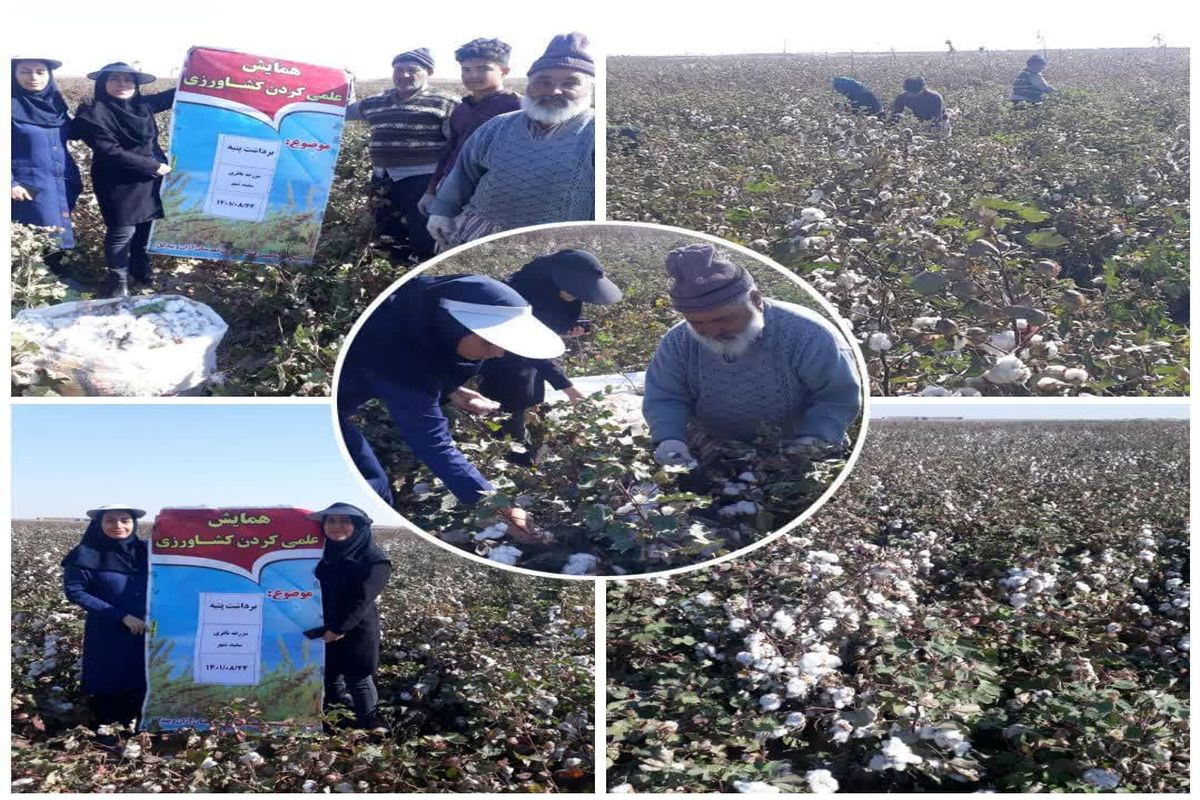 کارگاه آموزشی