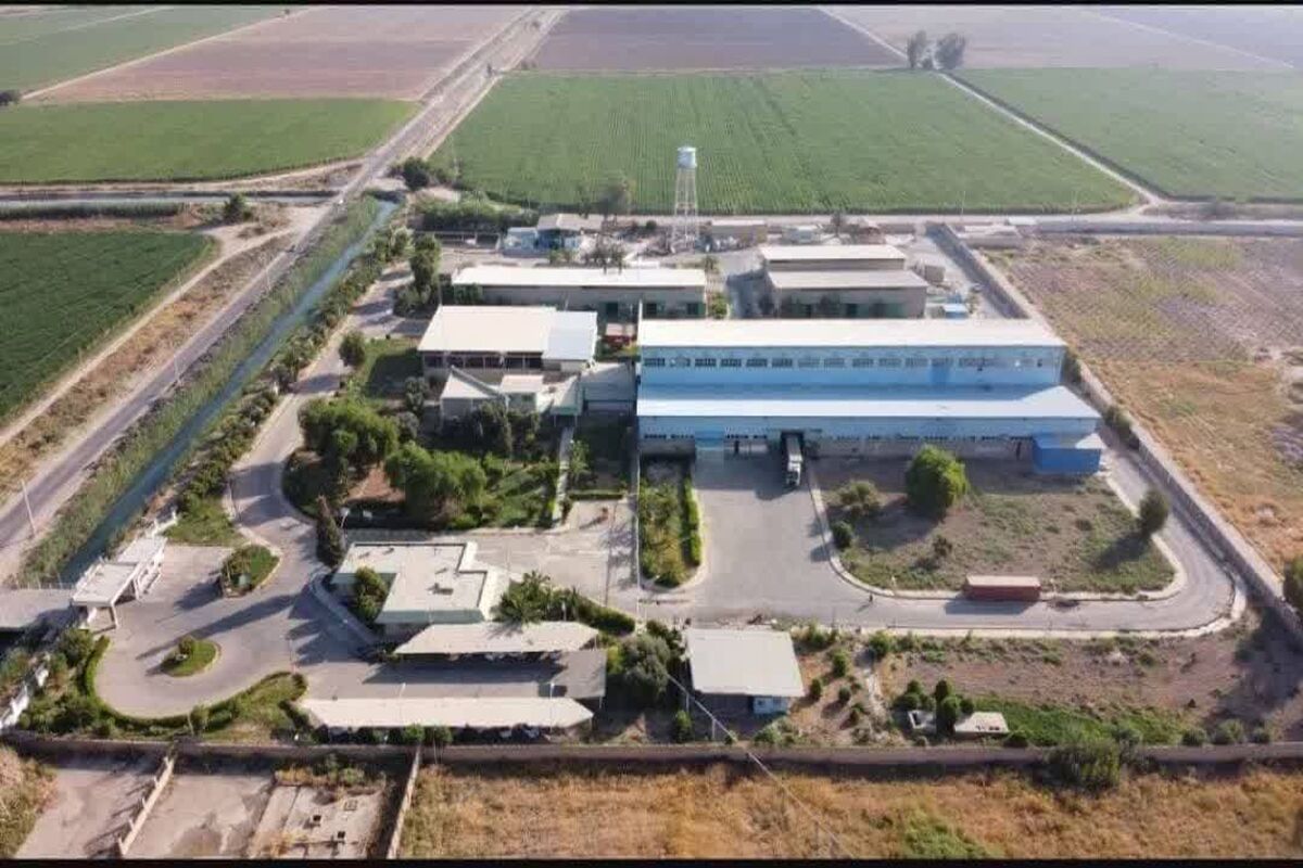 شرکت حریر