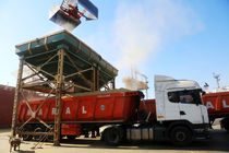 تخلیه ۷۱ هزار تن ذرت دامی در بندر امام (ره)