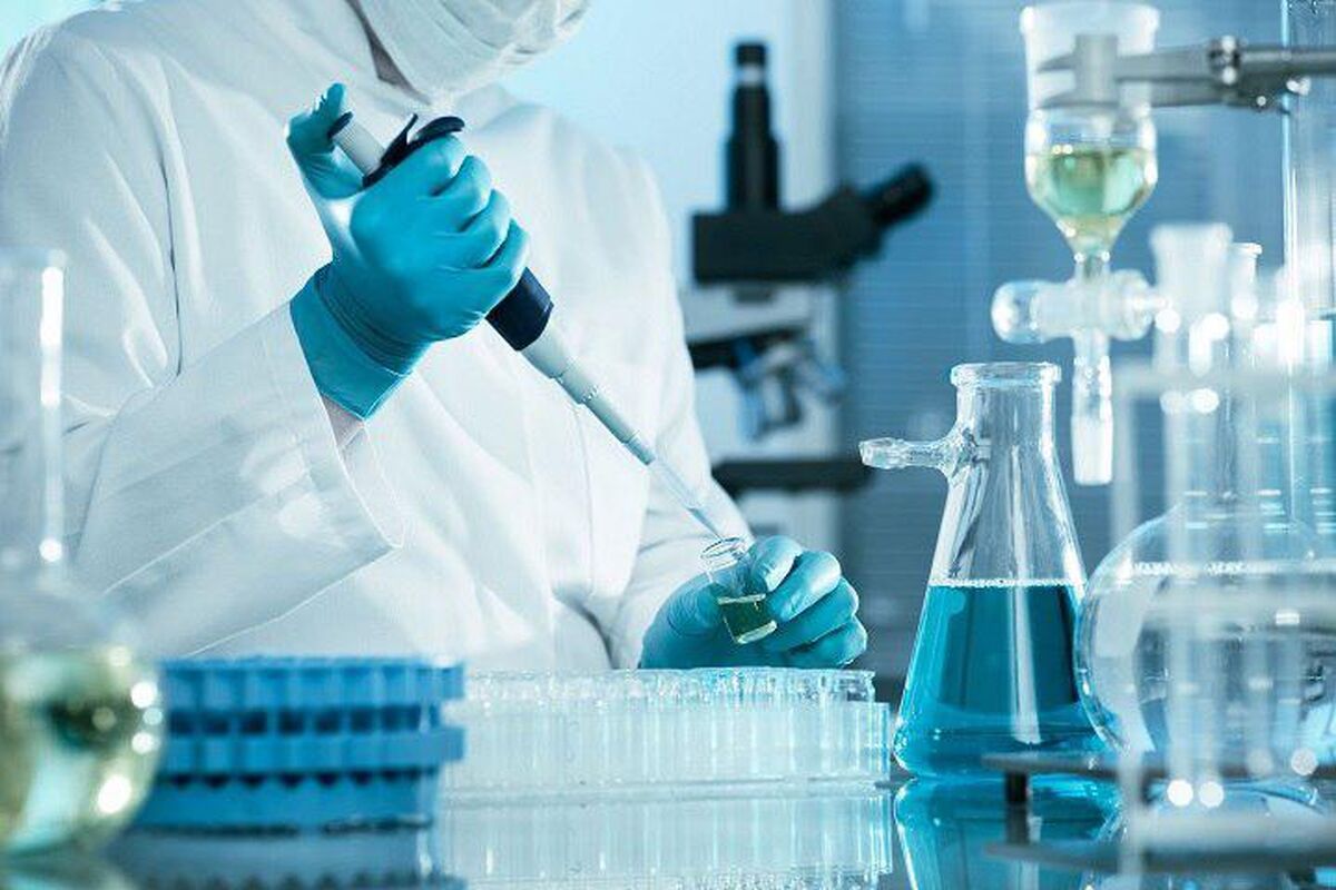 ستاد سلولهای بنیادی گیلان
