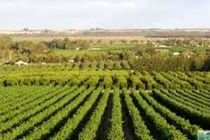 با حضور معاونین وزیر جهاد کشاورزی پروژه‌های کشاورزی استان کرمانشاه افتتاح شد