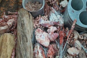 کشف 20 تُن محصولات لبنی و گوشت تاریخ گذشته از یک واحد تولیدی در اصفهان 