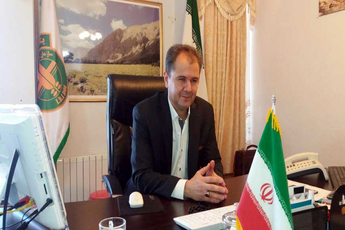 هاشمی محیط زیسست