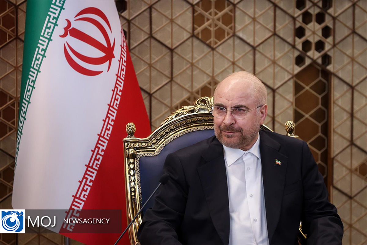 دیدار رییس مجلس دومای روسیه با قالیباف