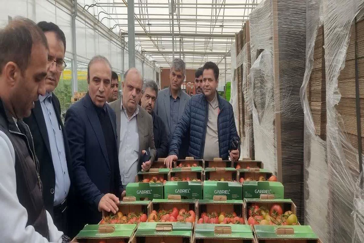 کشت گلخانه ای پارس آباد
