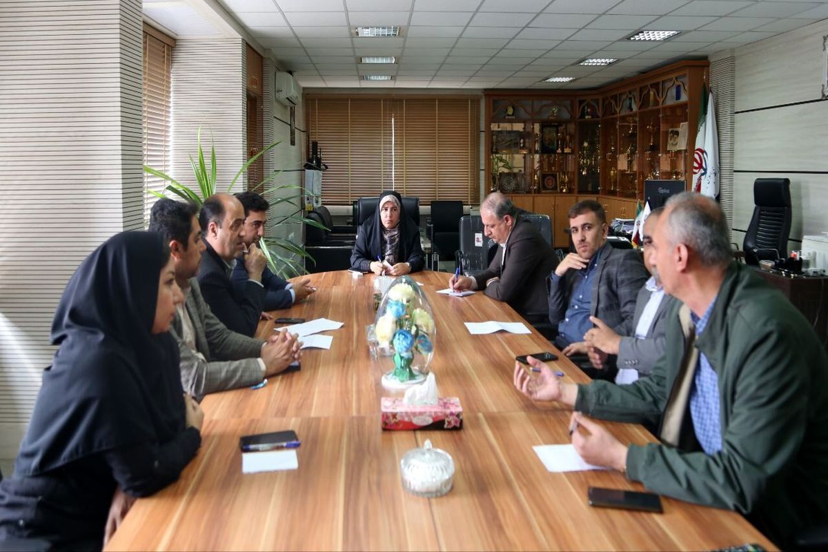 مدیر کل ورزش