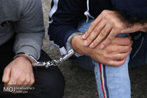 افزایش کشفیات سرقت در طرح نوروزی پلیس در کردستان