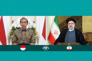 باید در دفاع از ملت مظلوم فلسطین تصمیم گیری مشترک اسلامی انجام شود