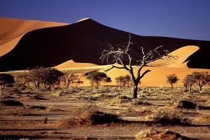 بیابان‌زدایی نقش مؤثری در فقرزدایی و محرومیت‌زدایی دارد