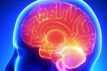 مغز راحین حل مسایل ریاضی تماشا کنید