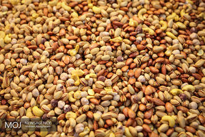 بازار داغ آجیل در آستانه نوروز ۹۷