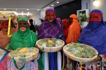 میناب؛ قلب تپنده طلای زرد ایران با ۱۷ هزار تن تولید