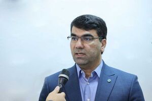 55 هزار میلیارد ریال تسهیلات بانک توسعه تعاون در اجرای مصوبات سفرهای استانی رییس جمهور
