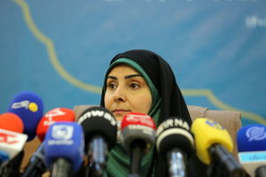 رشد 18 درصدی سفر در نوروز داشتیم/تعیین نرخ بلیت به دولت ارتباطی ندارد