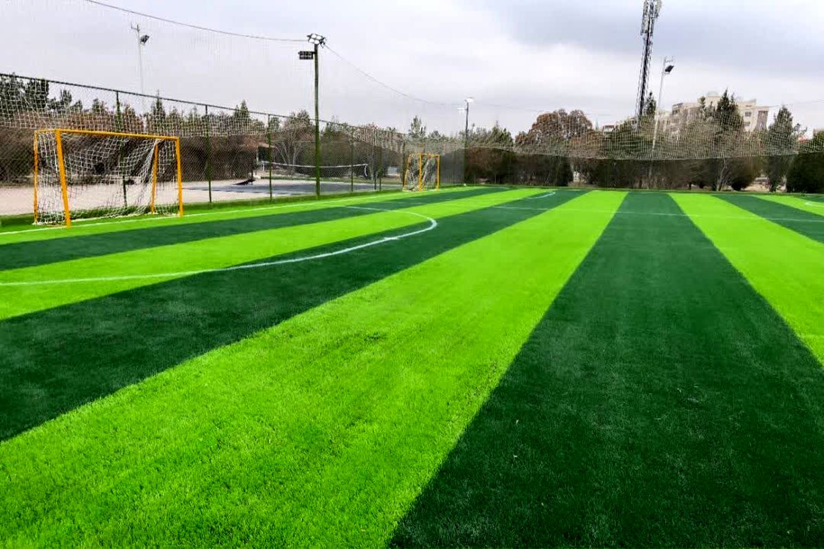 زمین ورزشی
