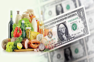 مزایای طرح حذف ارز ترجیحی برای مردم بیان شود