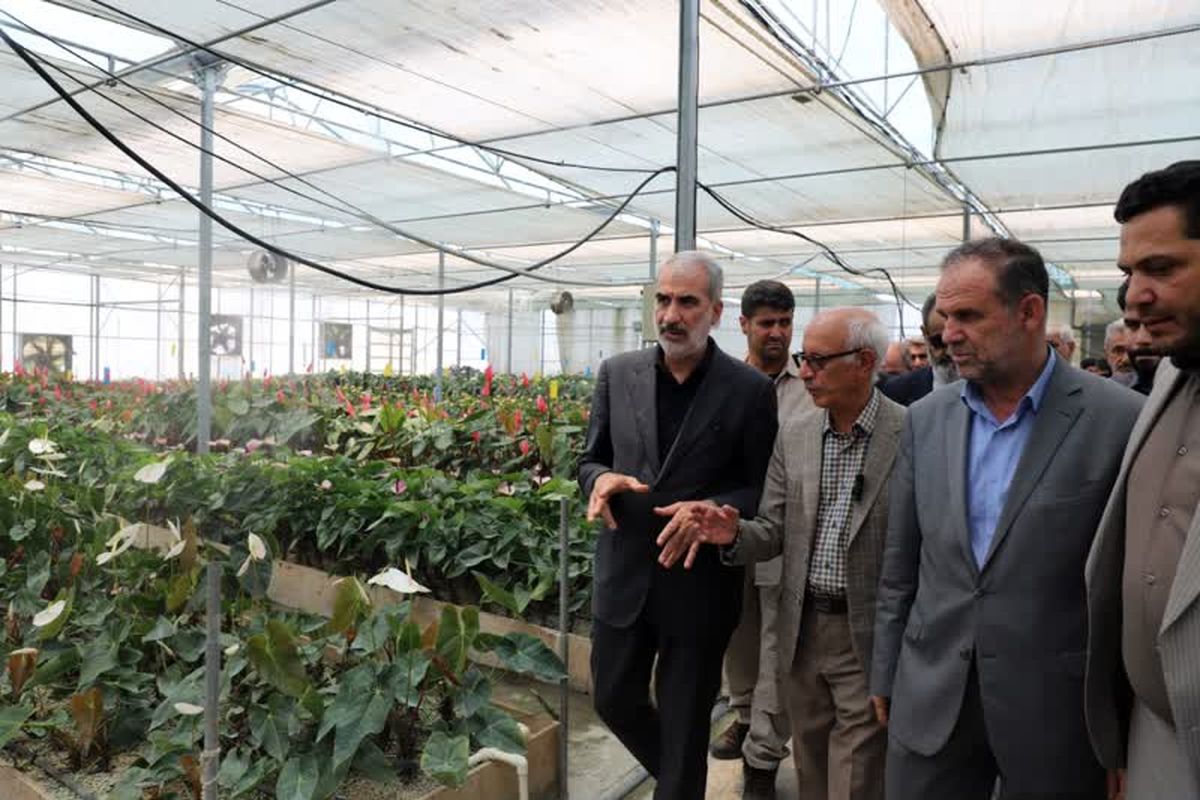 استاندار مازندران 