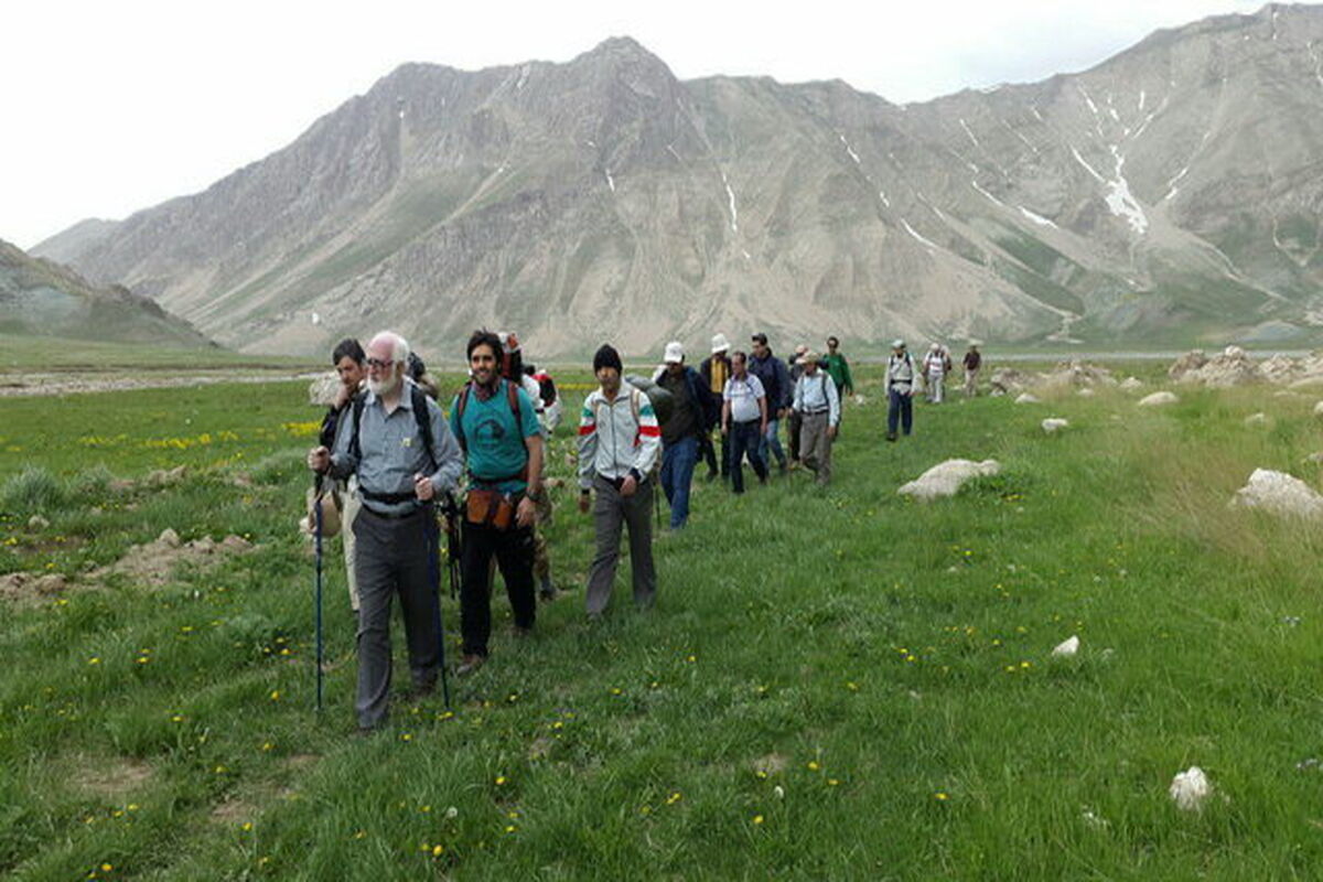 پیاده روی