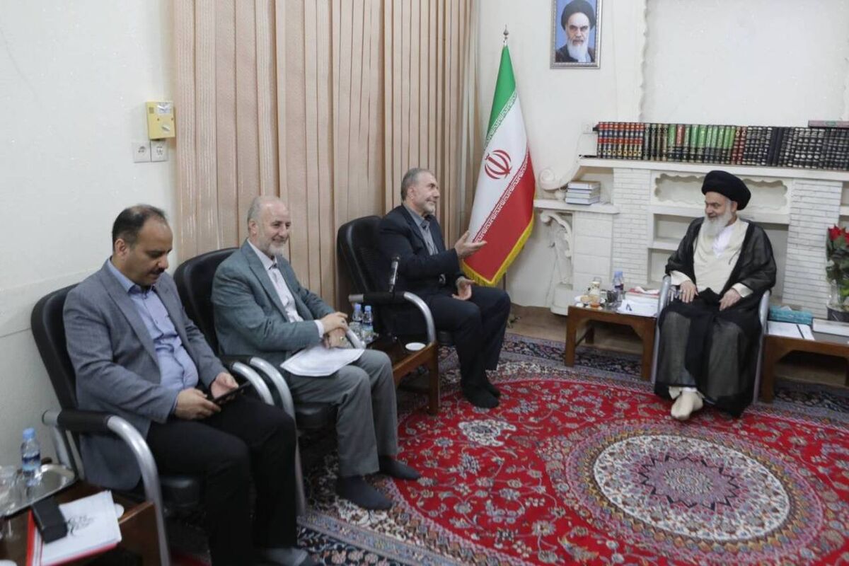 حسین ذوالفقاری