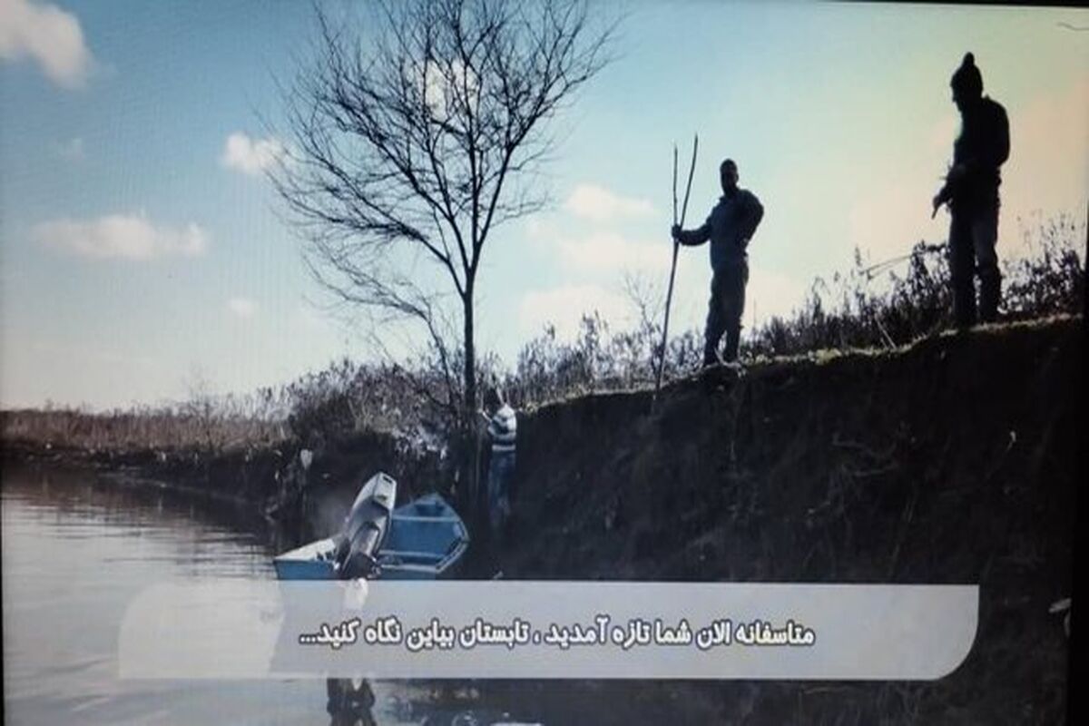 مستند